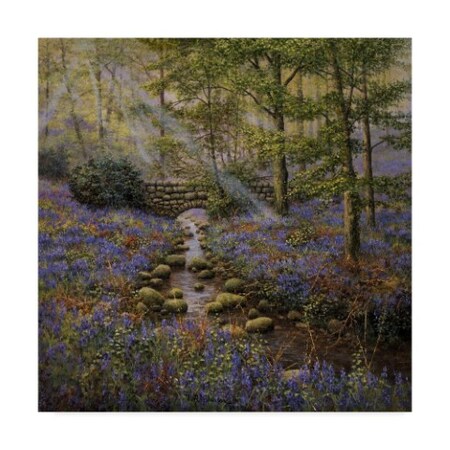 Trademark Fine Art Bill Makinson 'Bluebell Bridge' Canvas Art, 18x18 ALI38810-C1818GG